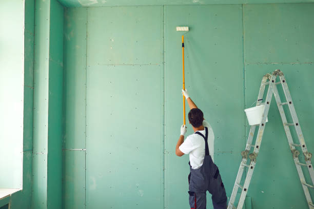 Best Residential Mold Inspection & Testing  in Idylwood, VA